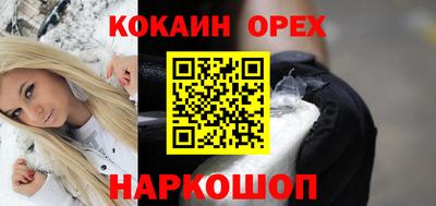 шишки Новодвинск