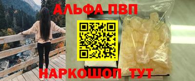 шишки Новодвинск