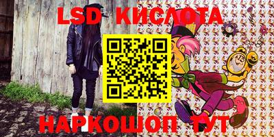 шишки Новодвинск