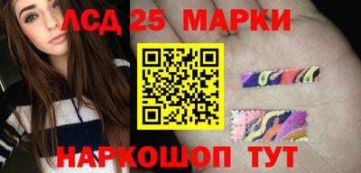 шишки Новодвинск