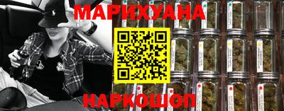 шишки Новодвинск