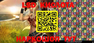 шишки Новодвинск