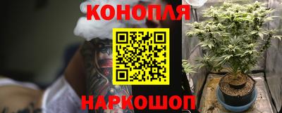 винт Новозыбков
