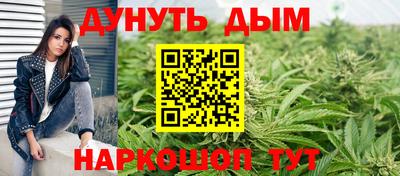 винт Новозыбков