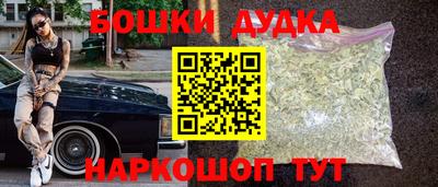 шишки Новодвинск