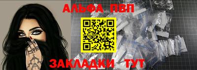 шишки Новодвинск