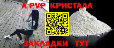 шишки Новодвинск