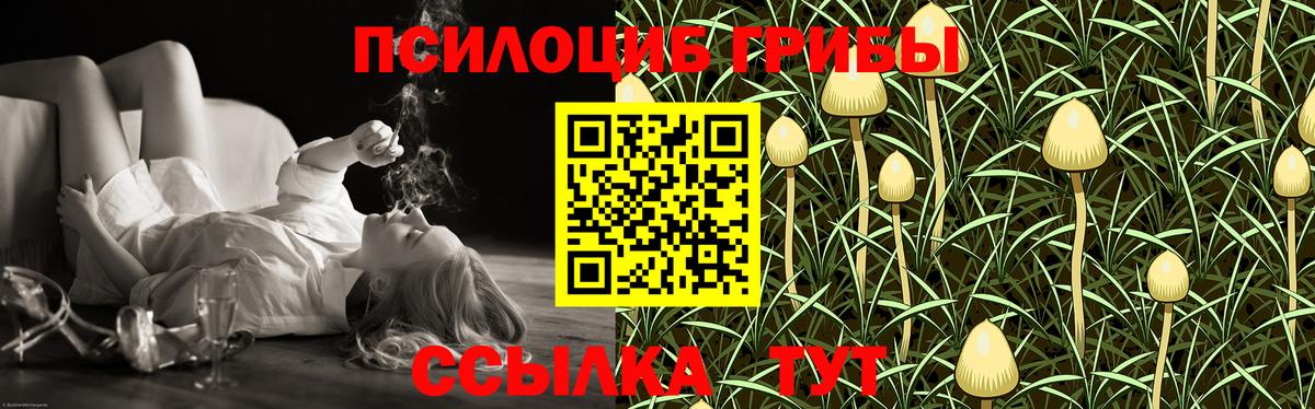 Обь  Галлюциногенные грибы Psilocybe  Вход с VPN  Псилоцибиновые грибы MAGIC MUSHROOMS 